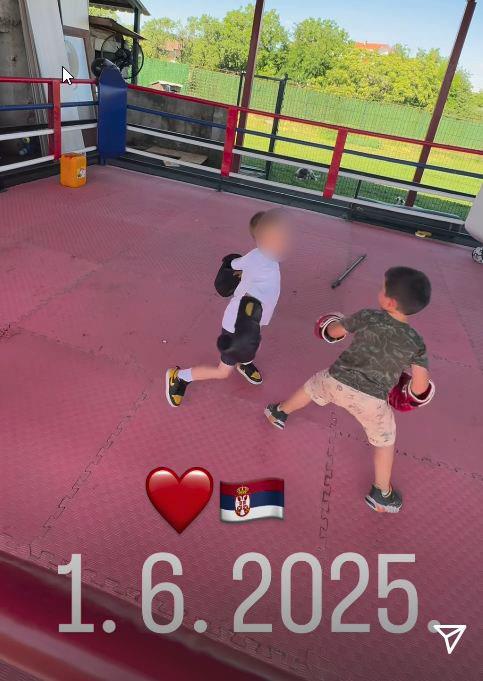 Željko Ražnatović