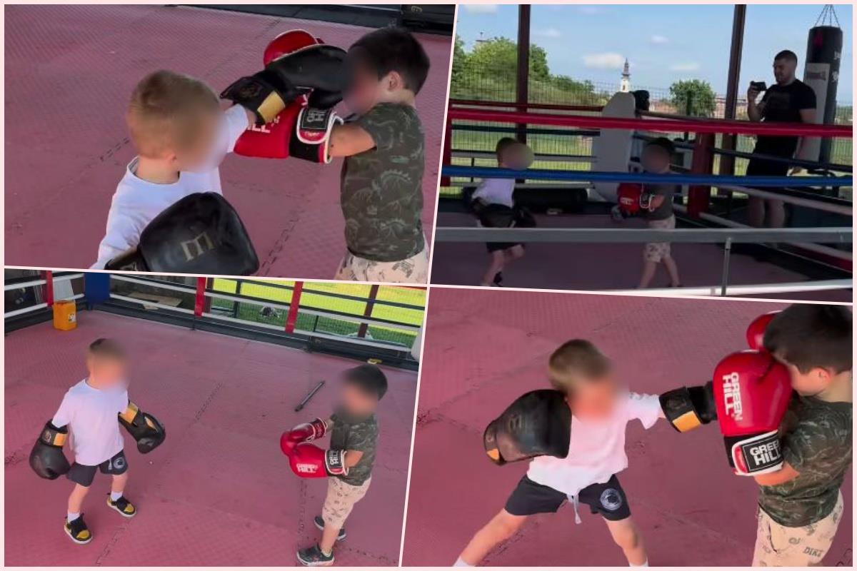 Mali Željko sparinguje