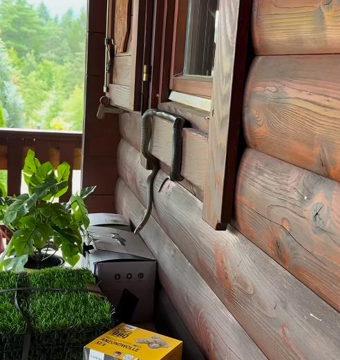 Screenshot 2025-07-17 085314.png