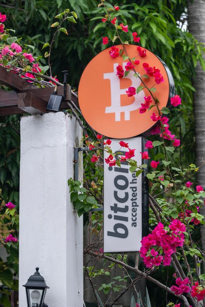 El Zonte El Salvador (4).jpg