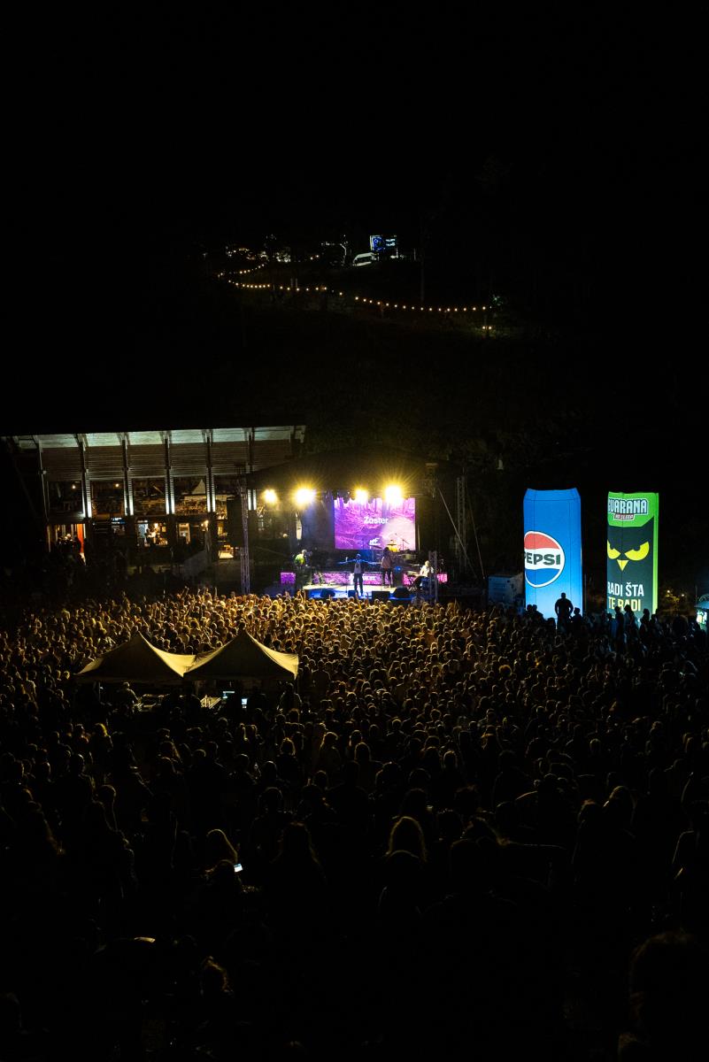 Zoster 3 by Milovan Ilic.jpg