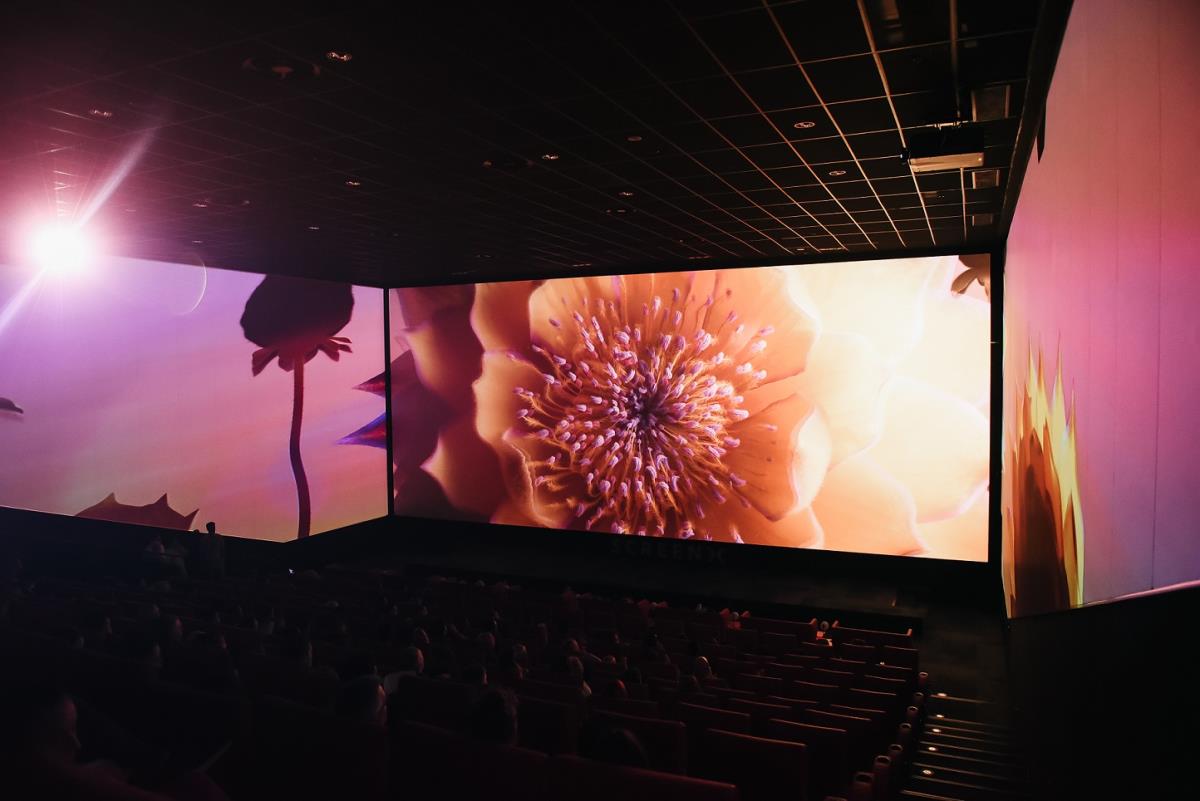 ScreenX - Photo_Djuricic Photos (4).jpg