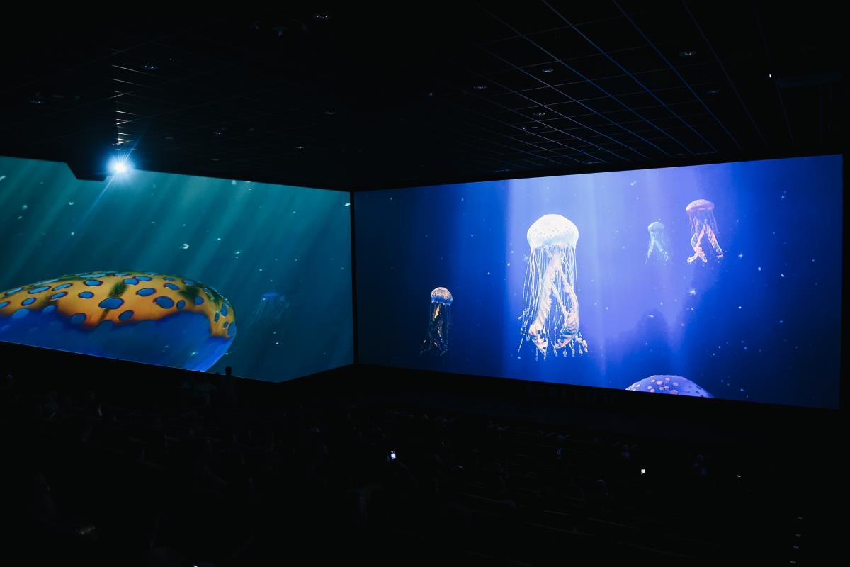 ScreenX - Photo_Djuricic Photos (3).jpg