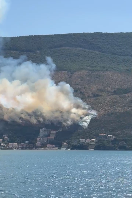 Screenshot 2025-07-18 151516.png