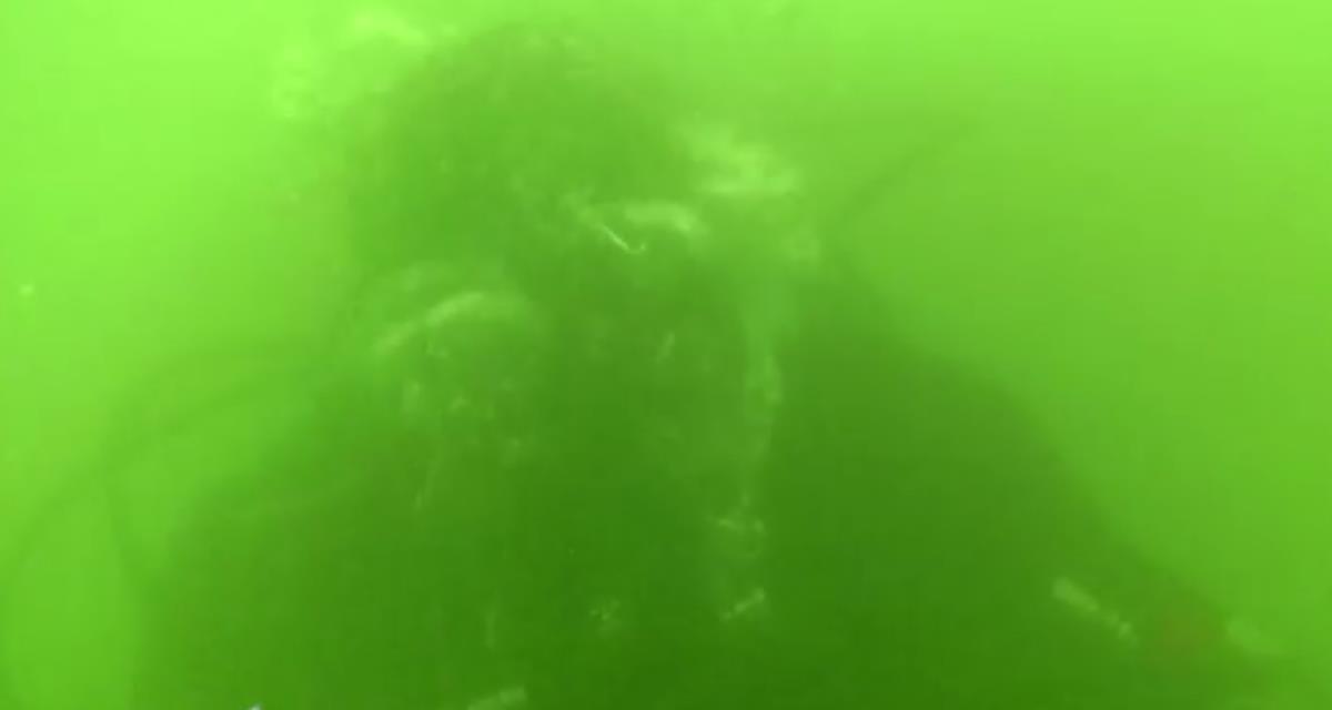 Screenshot 2025-07-19 100424.jpg