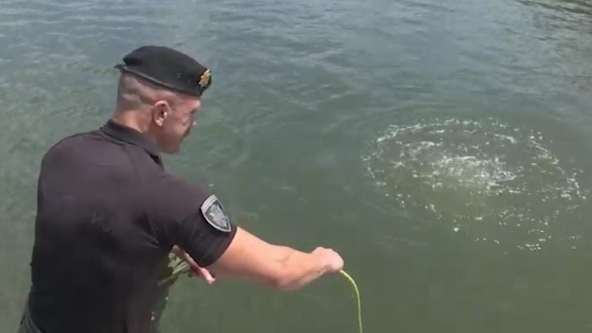 Screenshot 2025-07-19 100252.png