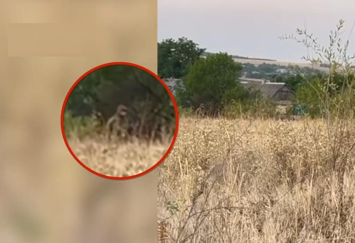 Screenshot 2025-07-20 083807.png