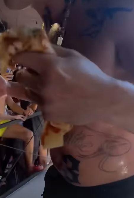 Desingerica na nastupu u Crnoj Gori