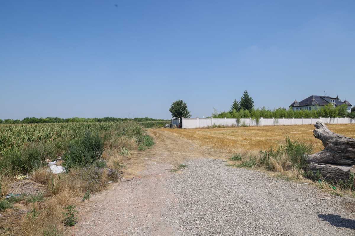 WhatsApp Image 2025-07-21 at 3.06.06 PM (1).jpeg