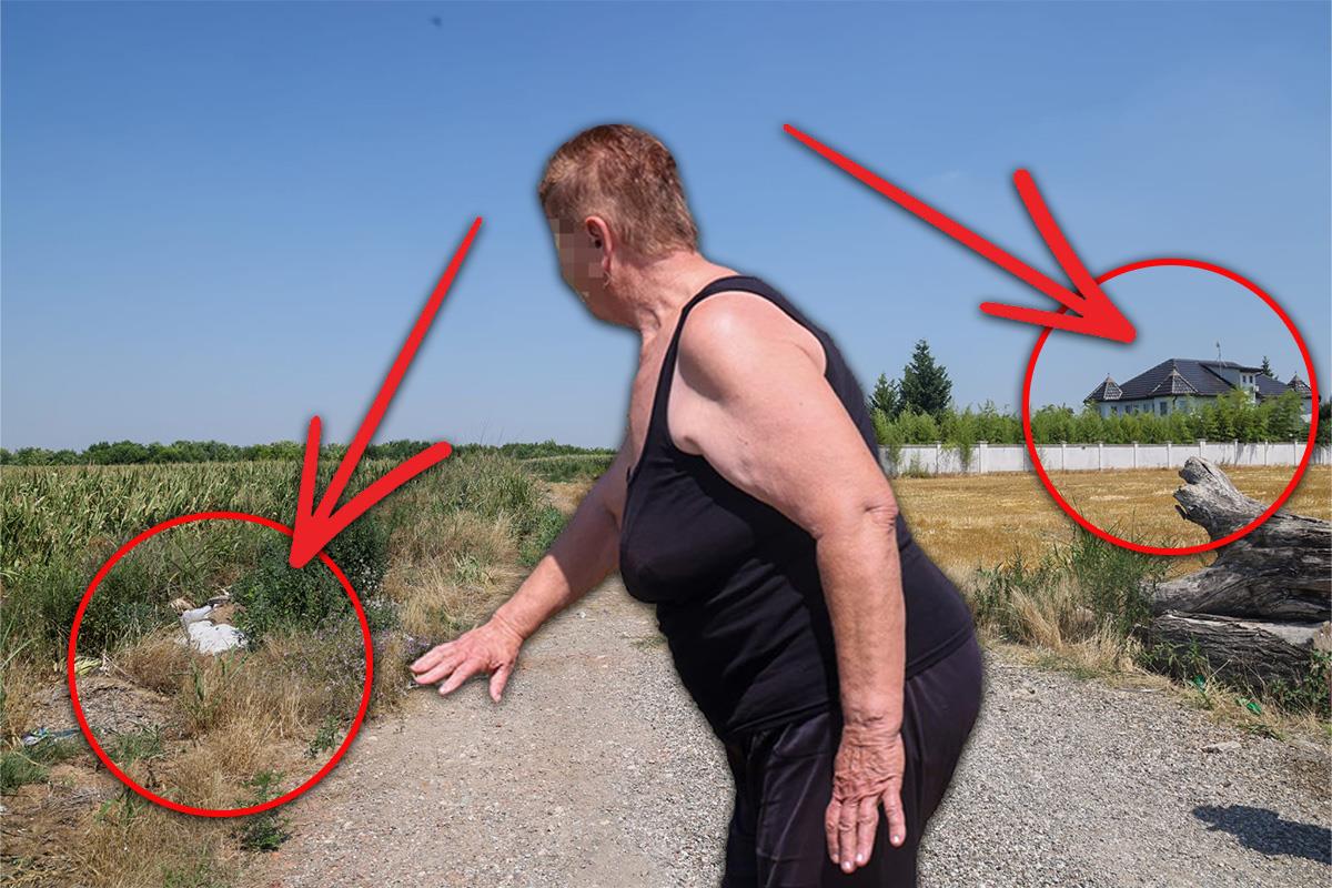 Stara Pazova žena ubila muža ubistvo kuća Seke Aleksić