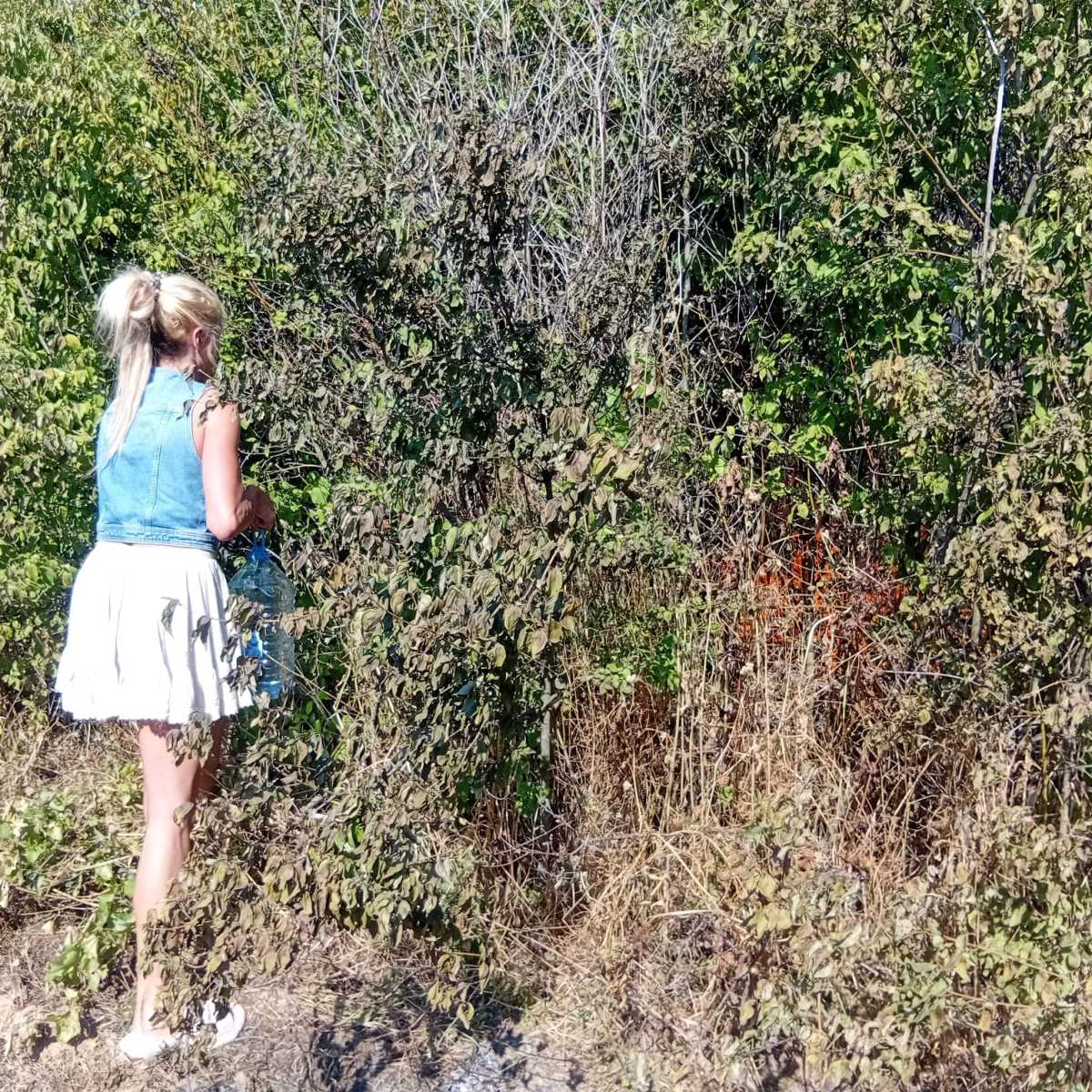 WhatsApp Image 2025-07-21 at 16.26.39_f3bba21d.jpg