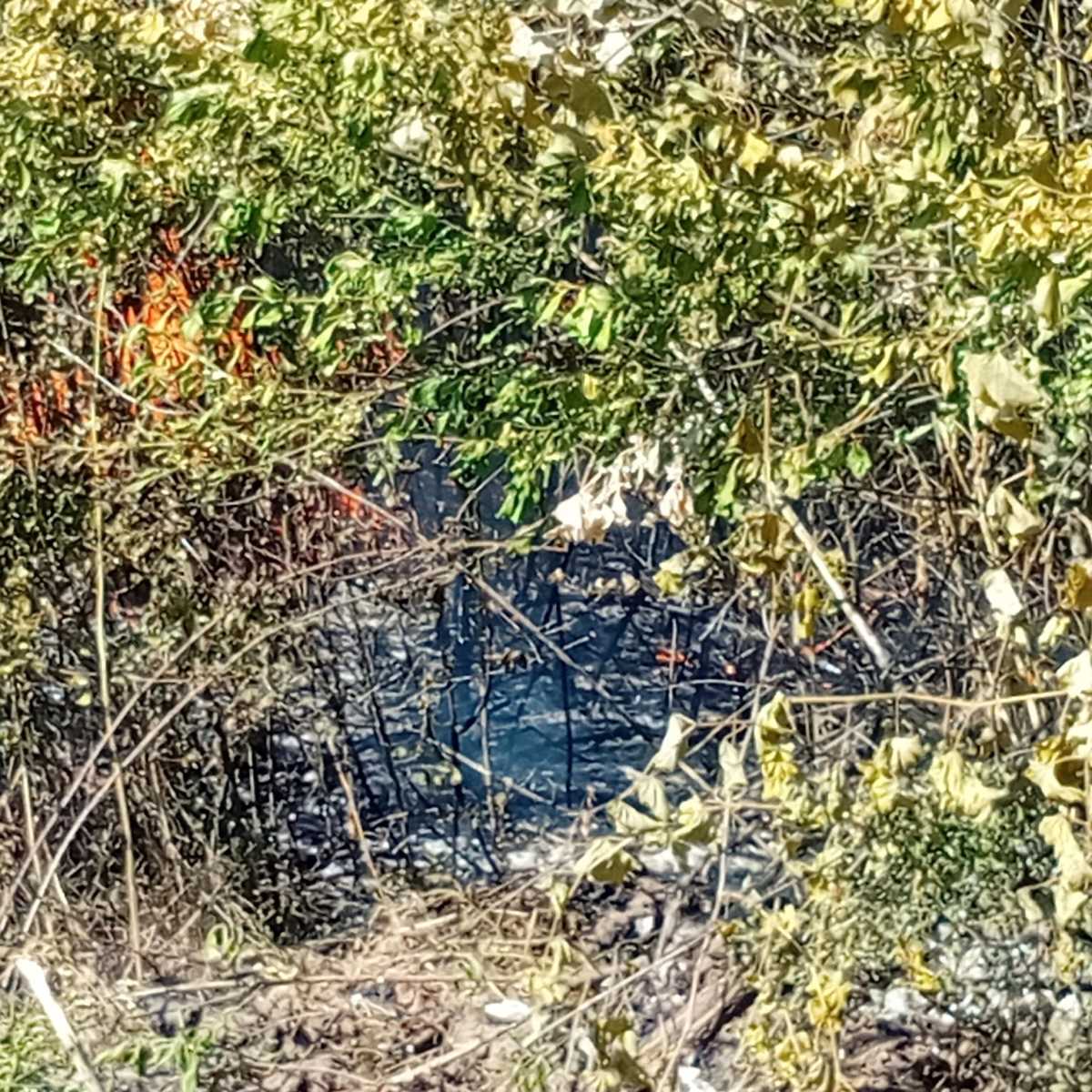 WhatsApp Image 2025-07-21 at 16.25.40_2e50f81a.jpg