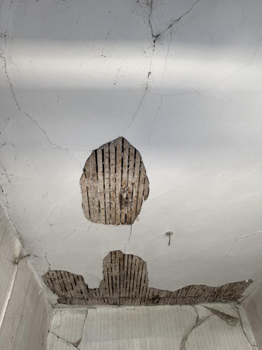 1601 predrag zivkovic tozovac foto kurir (10).jpg