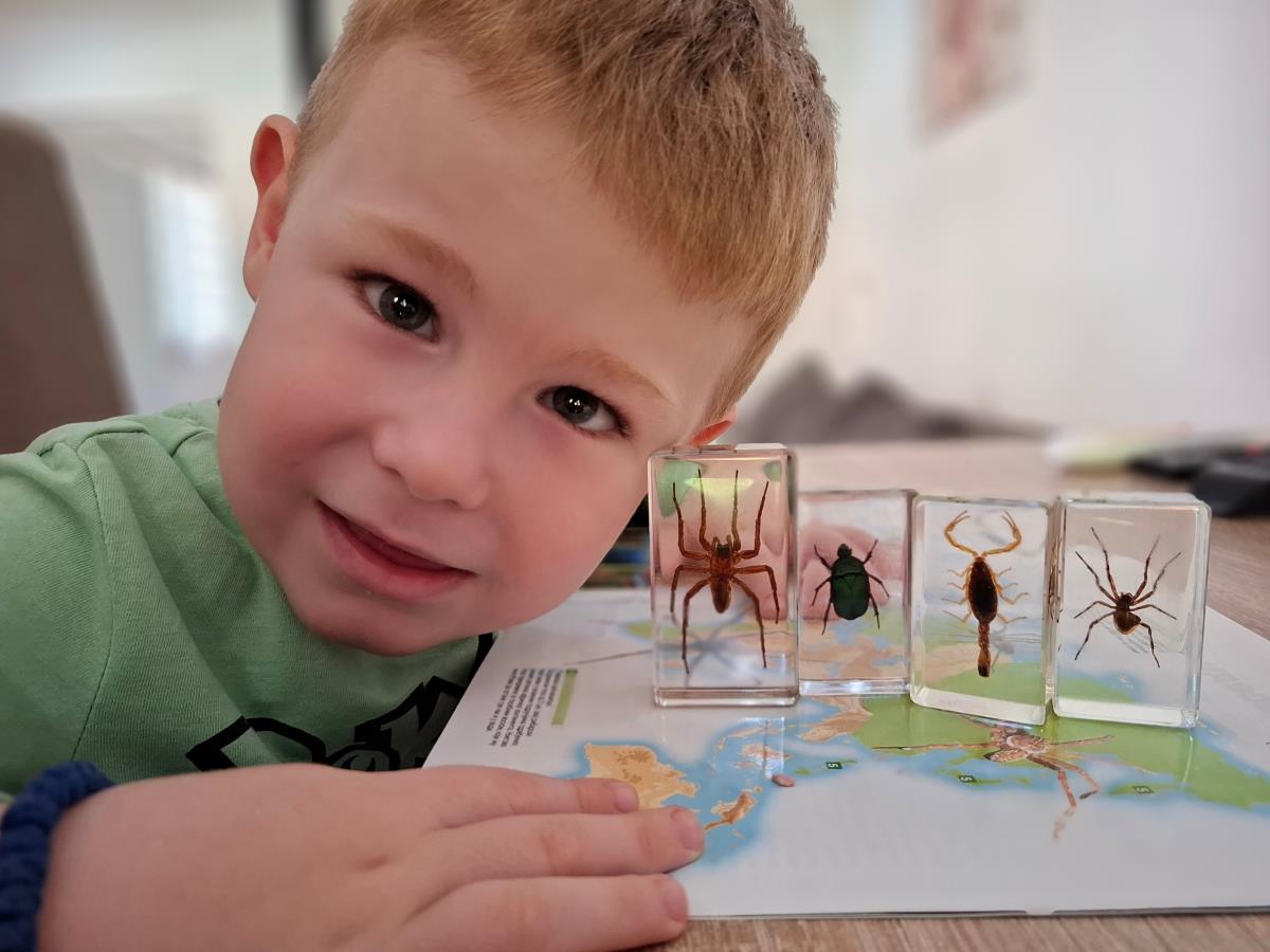 Priča mame o neustrašivom dečaku koji voli insekte, Ognjen je rođen kao dugina beba