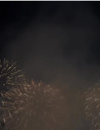 Aleksandra Nikolić na moru sa verenikom