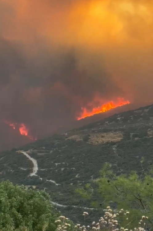 2025-07-24 08_03_00-(1) Andreas Adamides on X_ _Cyprus - huge fires out of control with strong winds.png