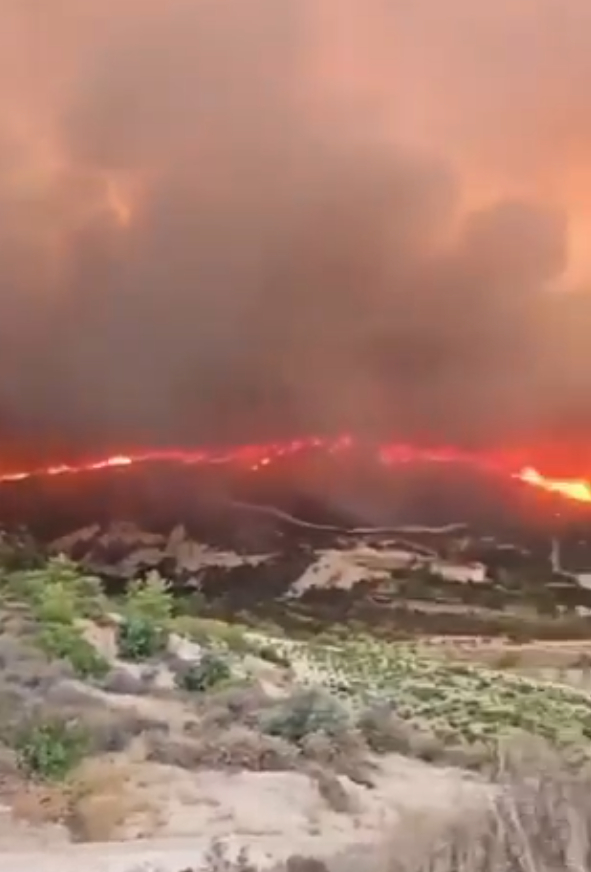 2025-07-24 08_03_35-(1) lefy ∆ on X_ _this is cyprus now, 10s of kilometers across on fire we dont e.png