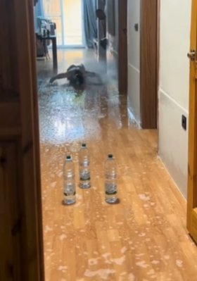 2025-07-24 10_30_38-Instagram.png