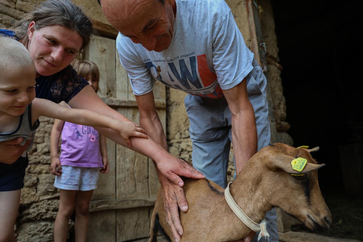 Podela plastenika 5.jpg