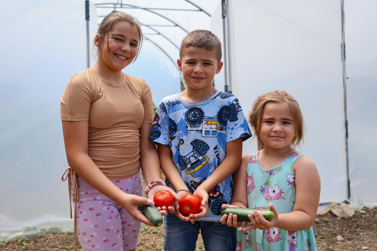 Podela plastenika 4.jpg