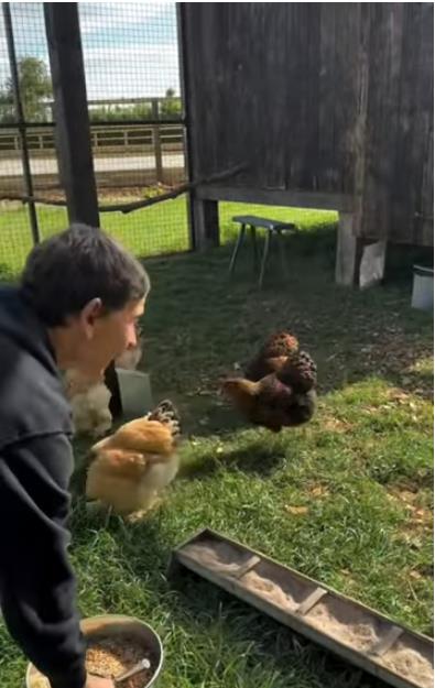 Kutak na selu Elen Dedženeris.jpg