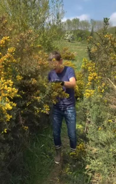 Kutak na selu Elen Dedženeris.jpg