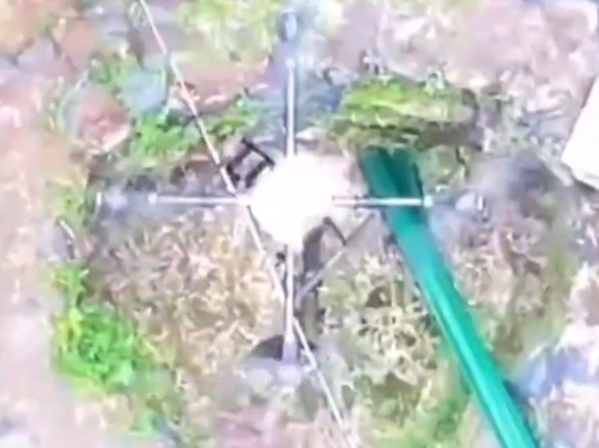 Screenshot 2025-07-25 083123.png