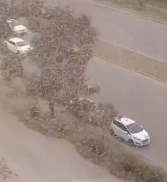 ukrajina skakavac (3).png