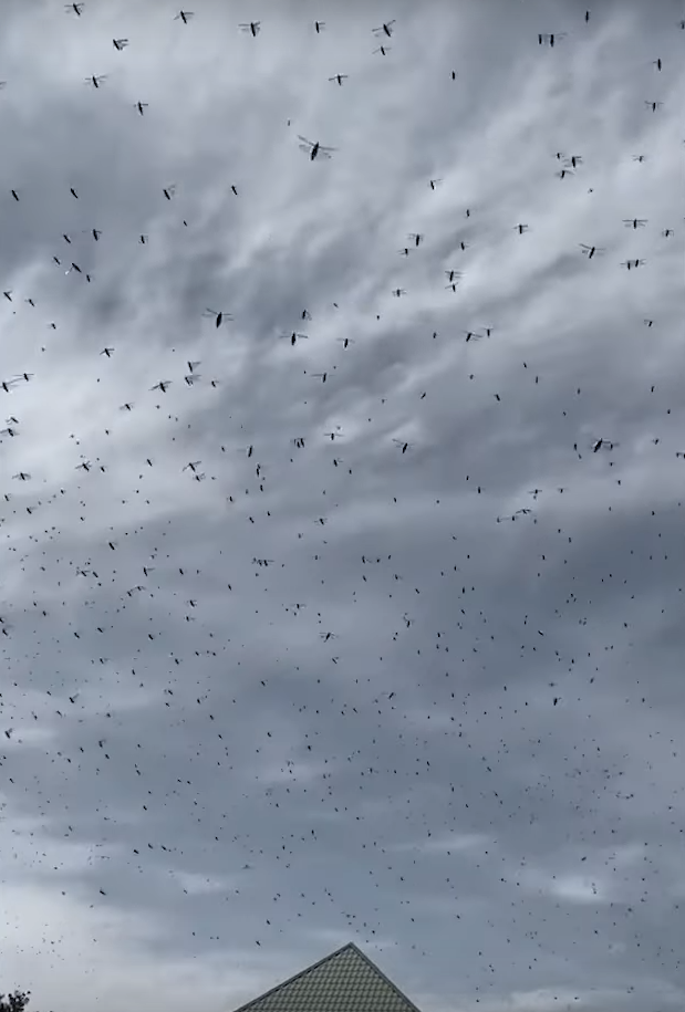 ukrajina skakavac (4).png