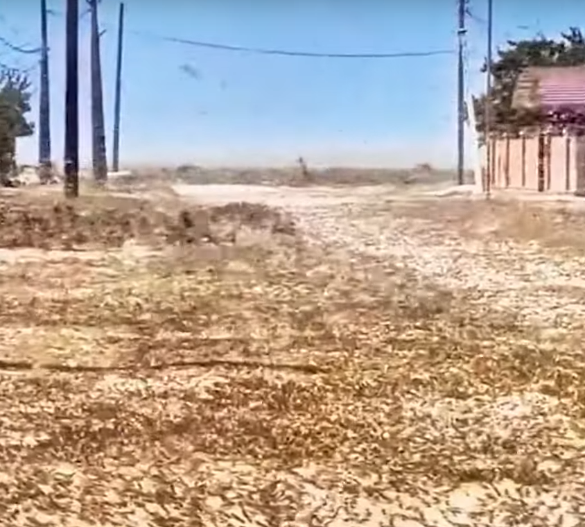 ukrajina skakavac (5).png