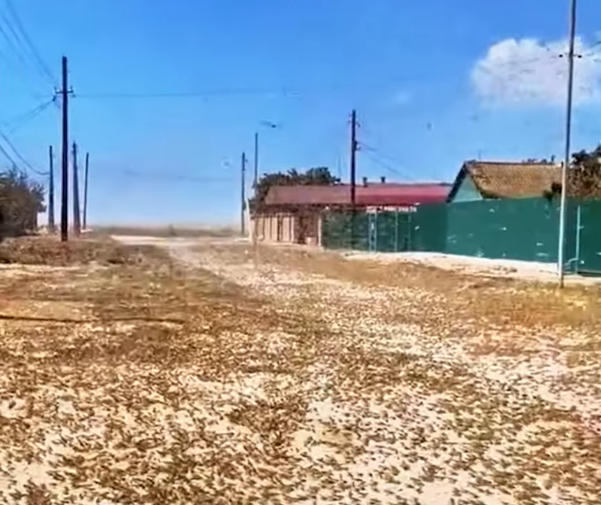 ukrajina skakavac (6).png