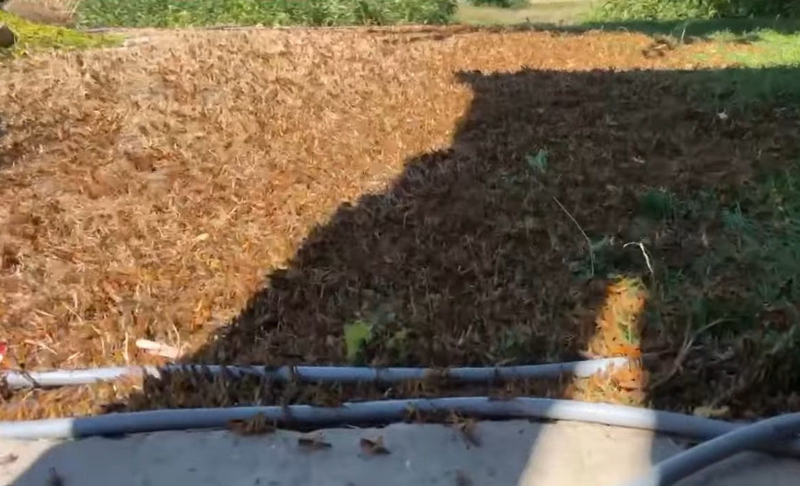 ukrajina skakavac (8).png