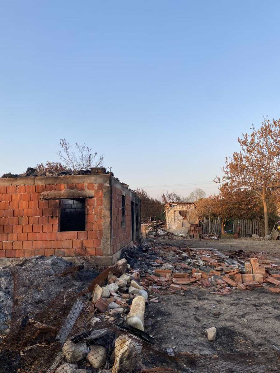 arsovic dvr+oriste.jpg