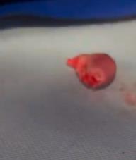 Screenshot 2025-07-26 103337.jpg