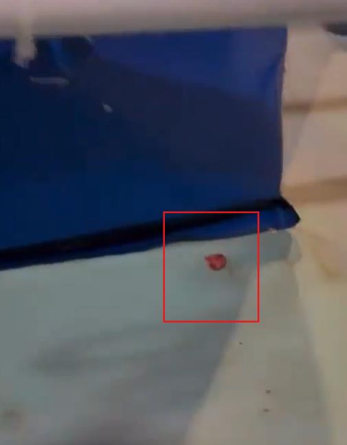 Screenshot 2025-07-26 103416.jpg