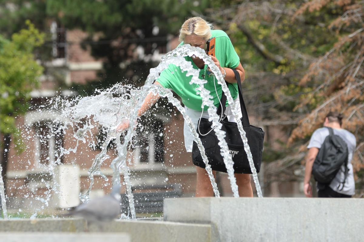 WhatsApp Image 2025-07-26 at 11.29.29 AM (1).jpeg