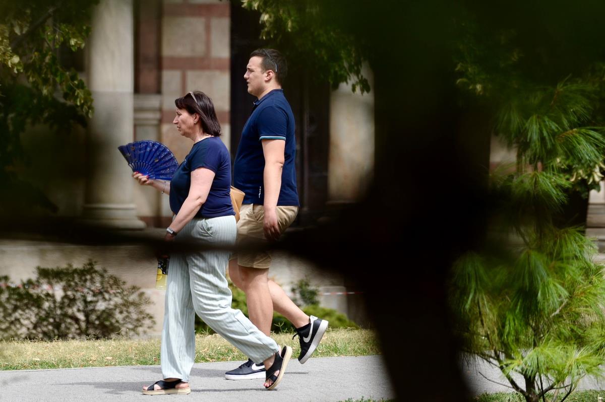 WhatsApp Image 2025-07-26 at 11.29.28 AM.jpeg