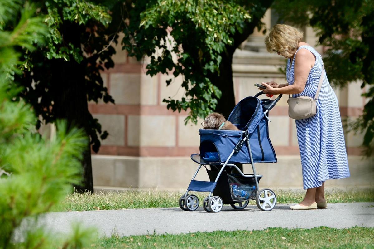 WhatsApp Image 2025-07-26 at 11.29.27 AM (1).jpeg