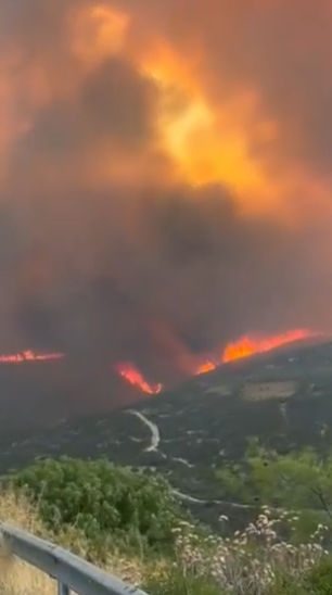 Screenshot 2025-07-26 125505.png