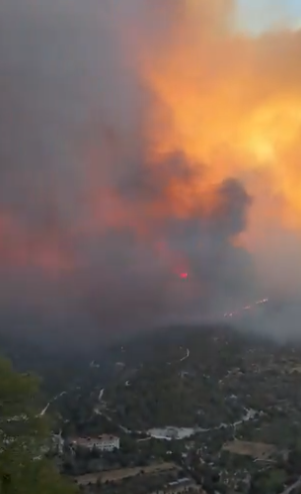 Screenshot 2025-07-26 125501.png