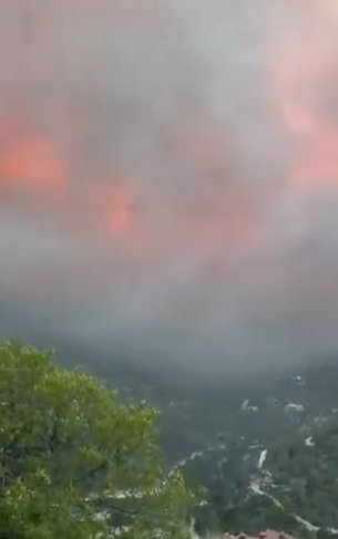 Screenshot 2025-07-26 125453.png