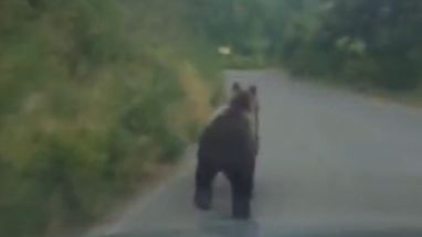 Screenshot 2025-07-27 090548.png