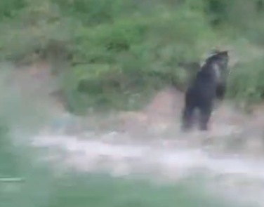 Screenshot 2025-07-27 090623.png