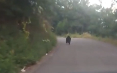 Screenshot 2025-07-27 090540.png