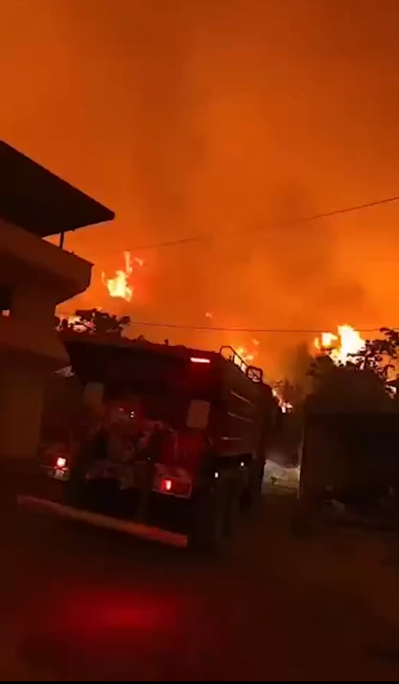 Screenshot 2025-07-27 120156.png