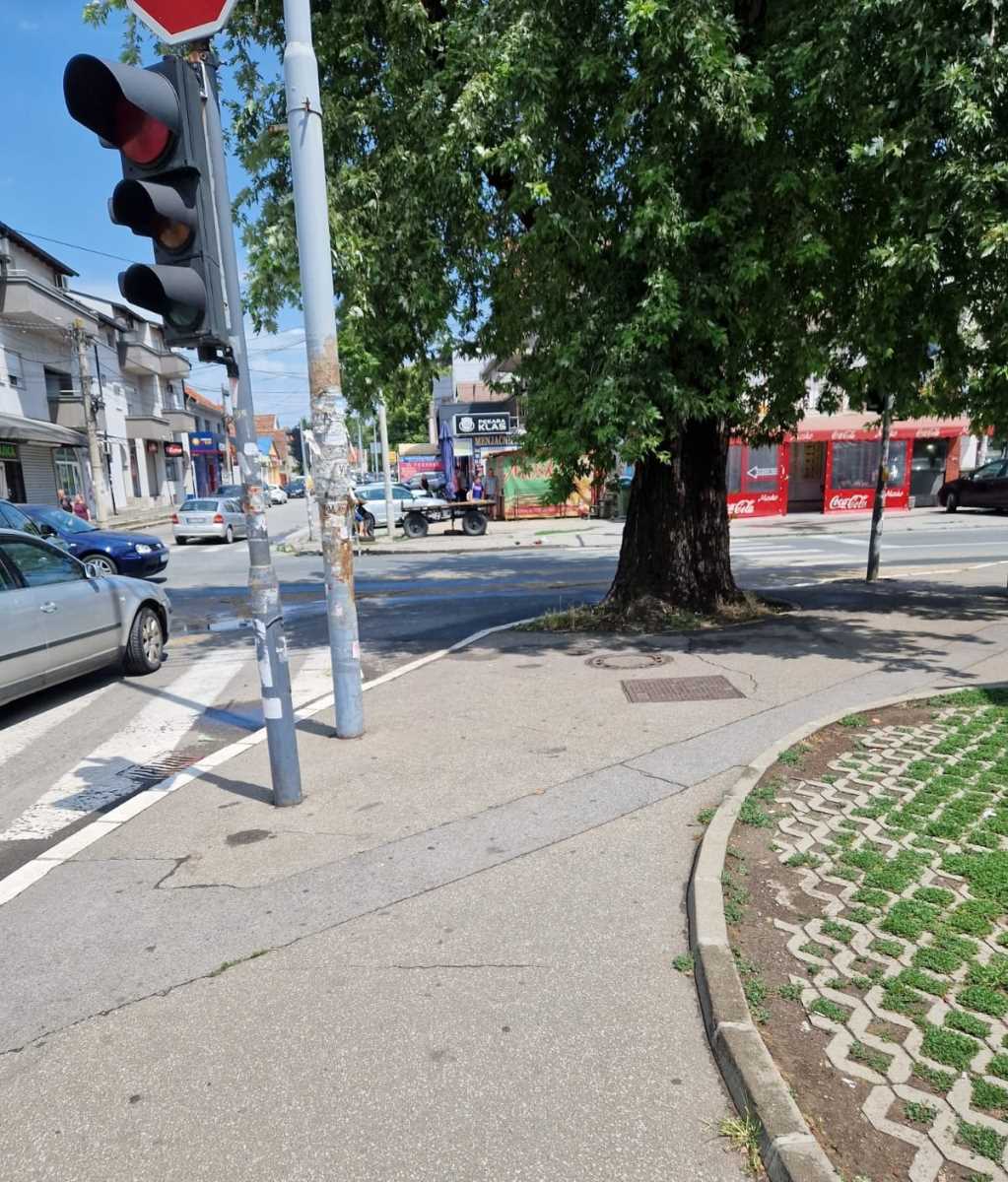 WhatsApp Image 2025-07-27 at 12.59.25 (3).jpeg