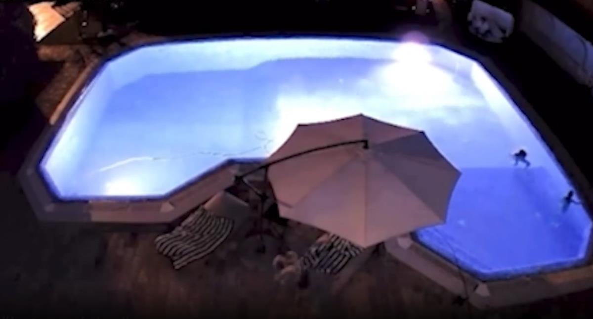 Screenshot 2025-07-27 143545.png