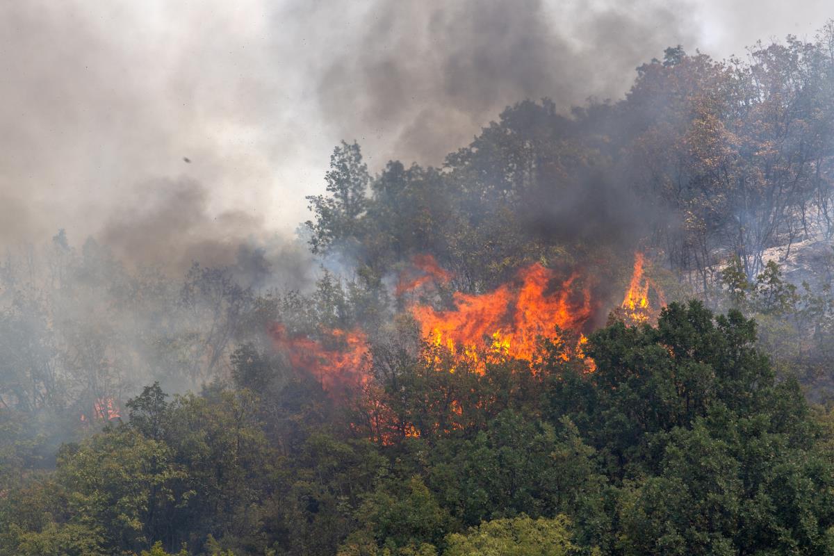 x EPA Georgi Licovski.jpg