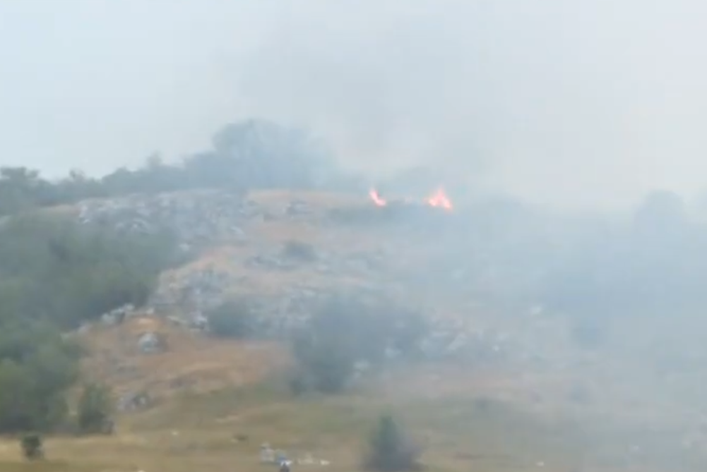 Screenshot 2025-07-28 094419.png