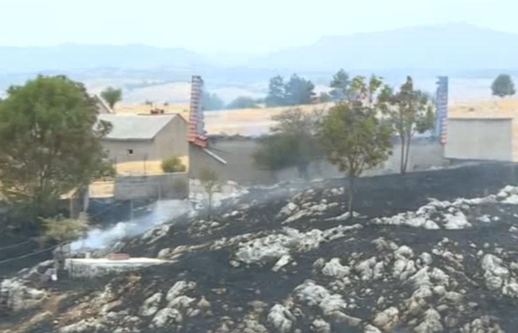 Screenshot 2025-07-28 094322.png